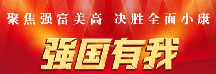 江北创新推出宠物销售新模式