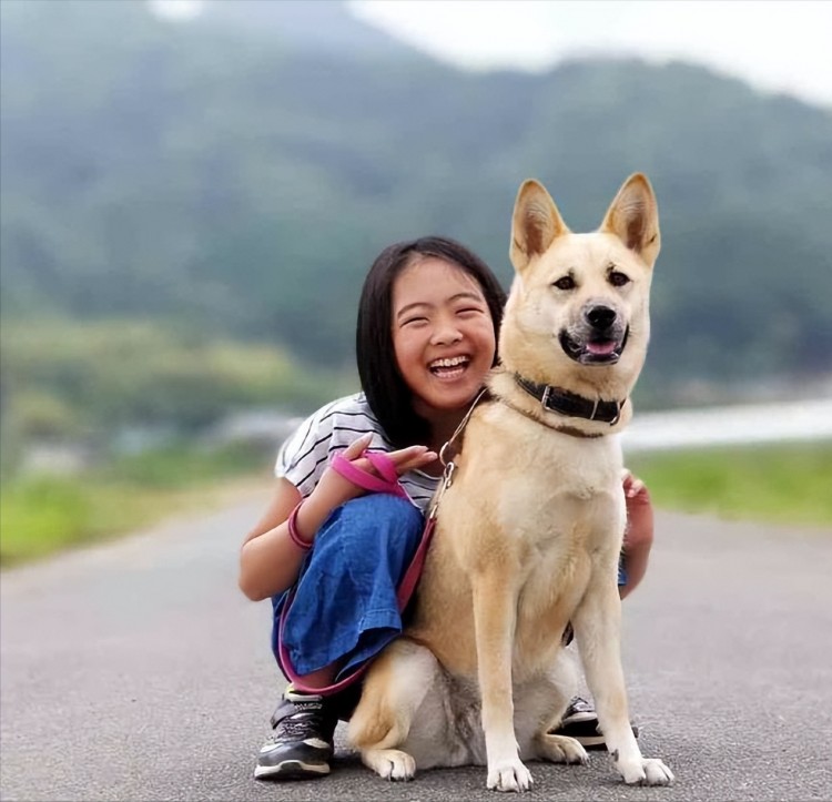 为什么说中华田园犬是最不值钱的狗