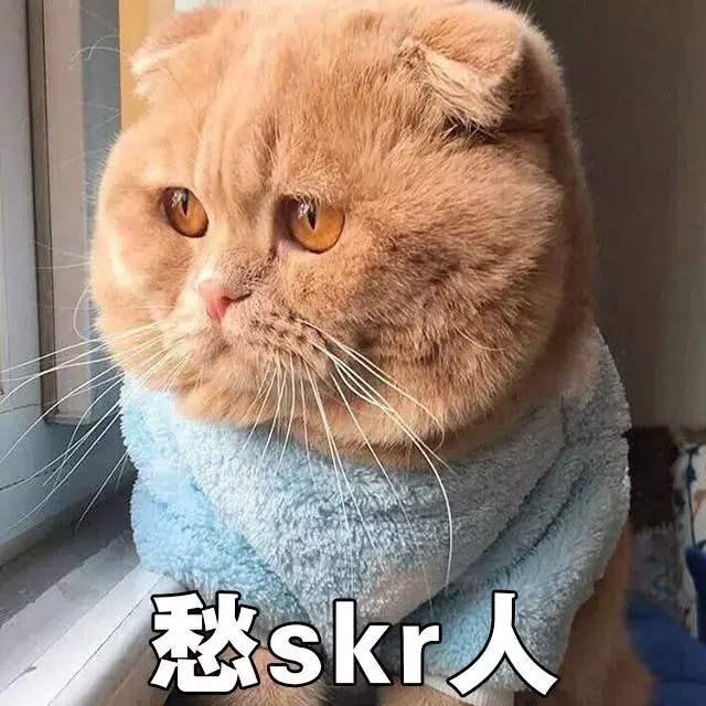 猫咪该如何托运